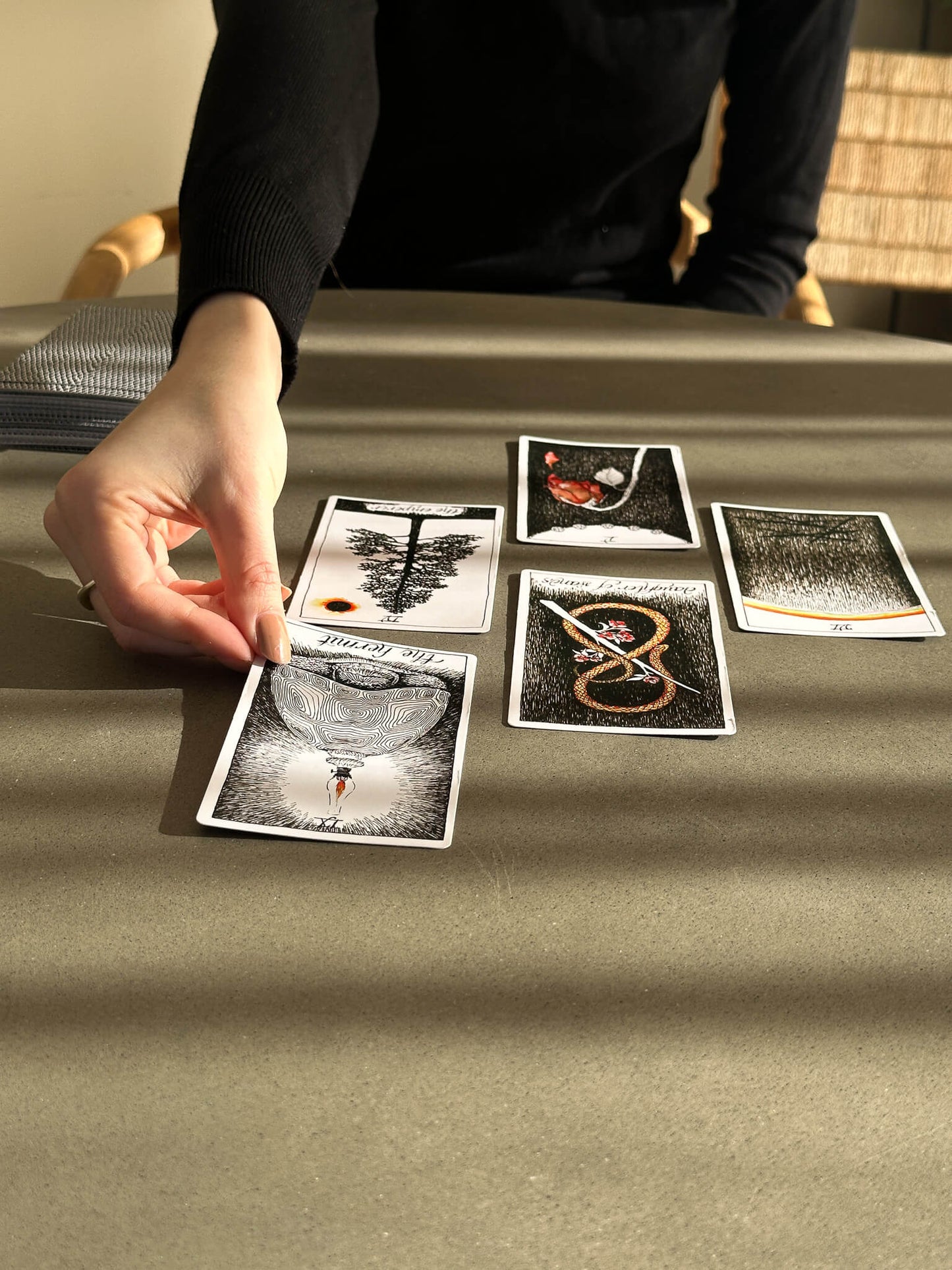 The Wild Unknown Tarot Set Pendels