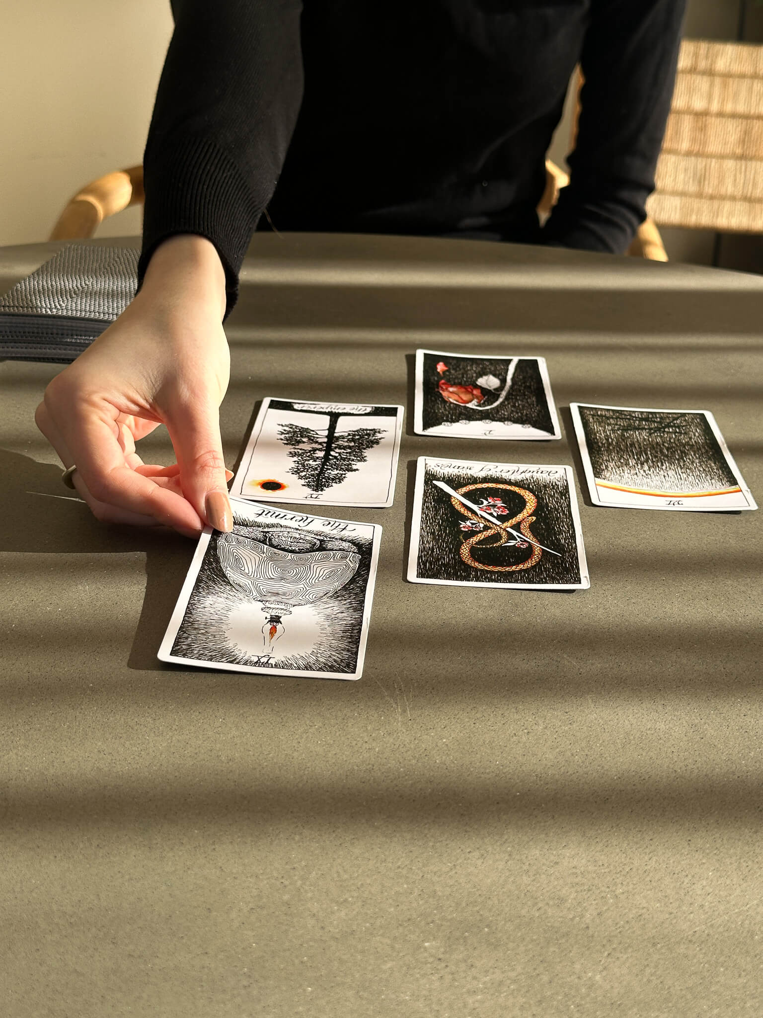 The Wild Unknown Tarot Set Pendels