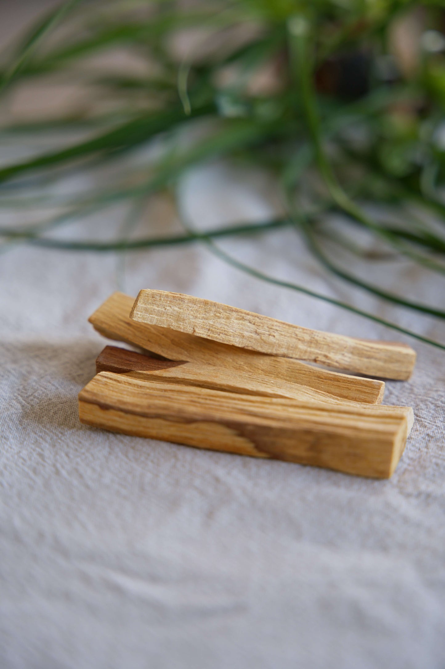 Palo Santo