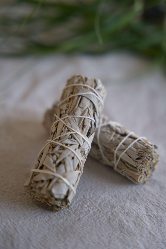 Witte Salie Smudge Stick