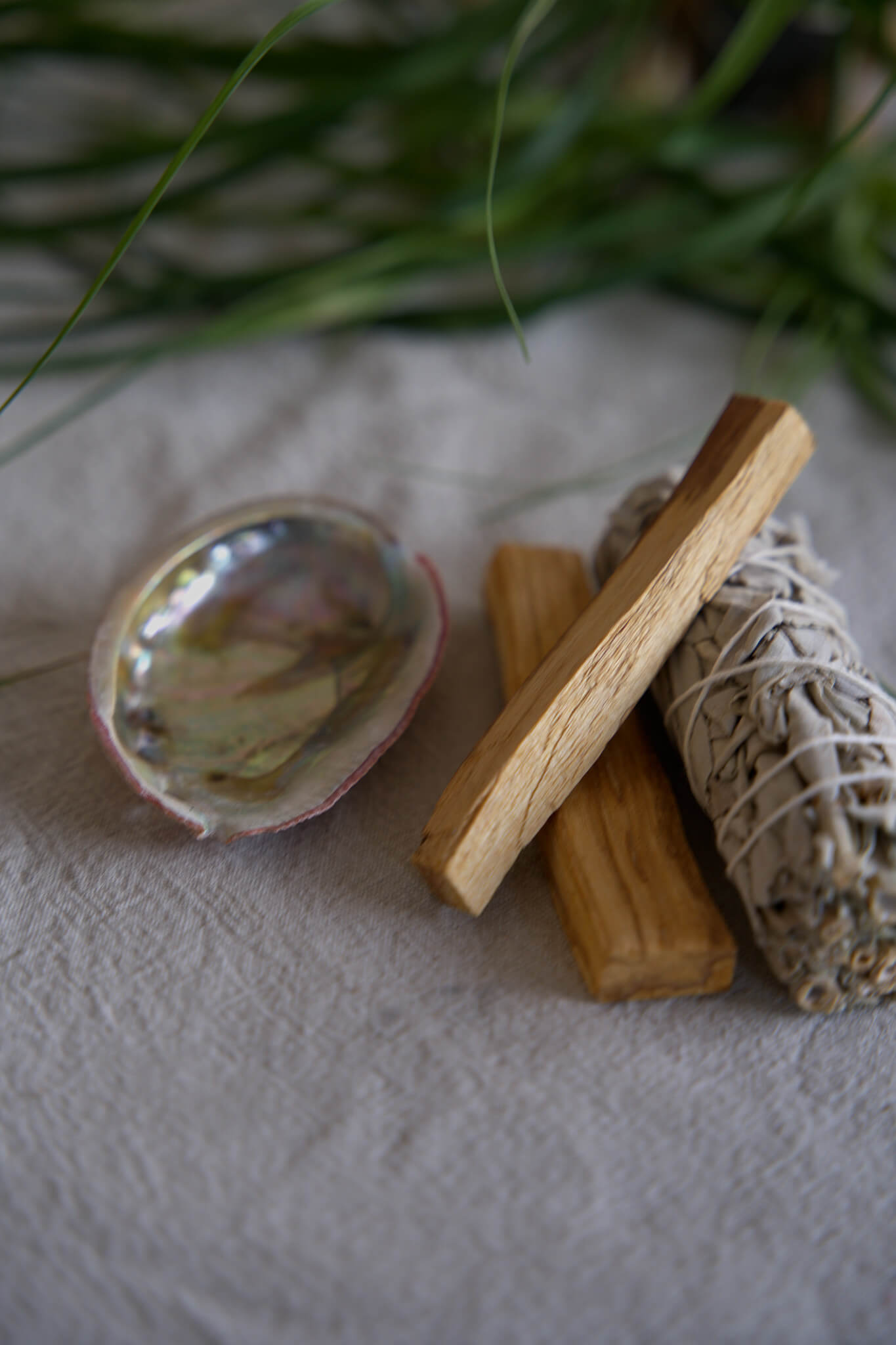 Zuiveringspakket Pendels